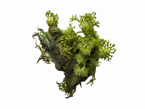 Column background image