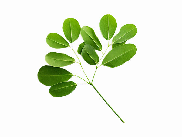 Column background image