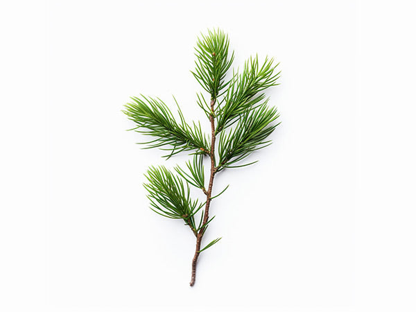 Column background image